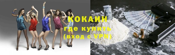 соль ск Абаза