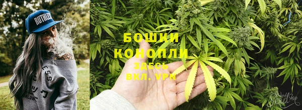 соль ск Абаза