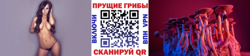 где можно купить   дарк нет Telegram  Галлюциногенные грибы ЛСД  Касли 